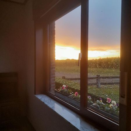 In The Old Farmhouse Assenede ภายนอก รูปภาพ